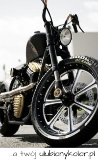 motocykl, motoryzacja, harley, cool, świetny