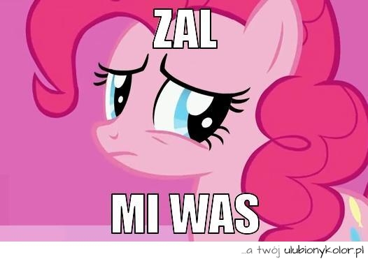 sentencja, żal, kucyk, pony, różowy