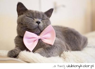 Elegant