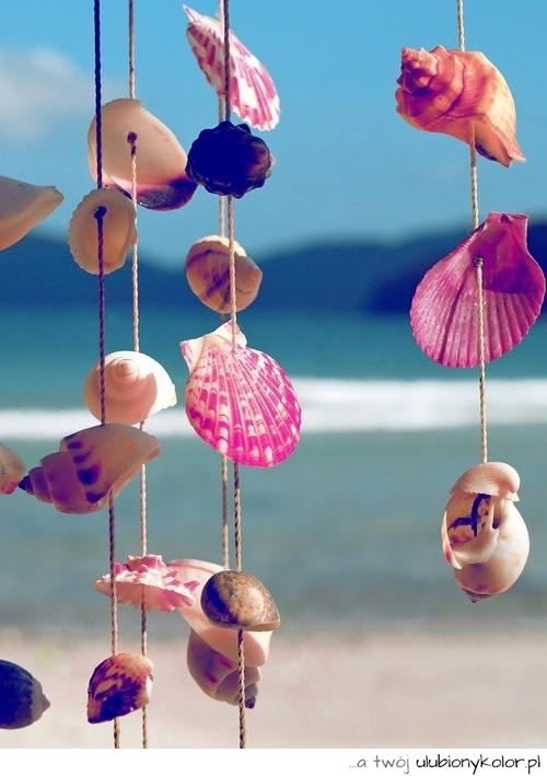 wakacje, słońce, muszle, plaża