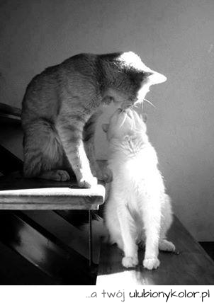<3<3<3 give me a kiss <3<3<3