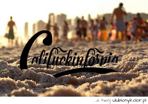 california, kalifornia, widok, plaża, wakacje, morze, ocean