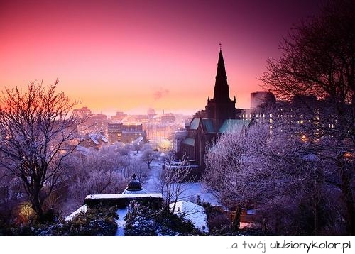 widok, kolory, purpurowy, miasto, fajne