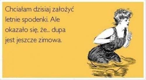 śmieszne,humor