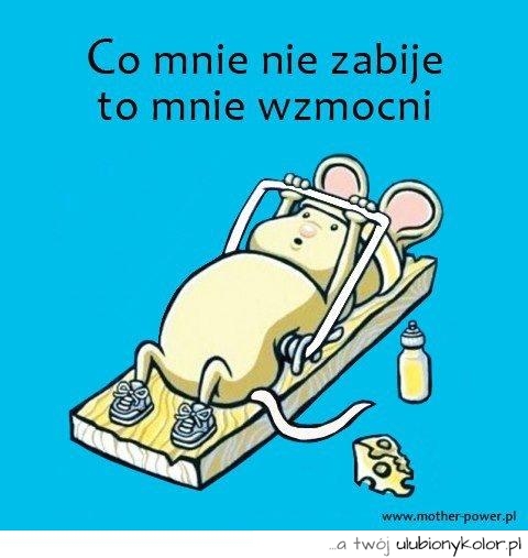 humor, śmieszne, sentencja, mysz, żart, życie