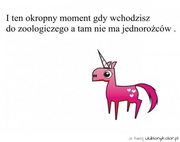 jendorożec, zoo, śmieszne, fun