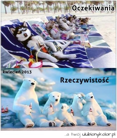 A jak wam mija tegoroczna wiosna ... 