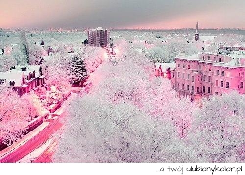 fotografia, zima, miasto, artystyczne, kolory, róż, biel