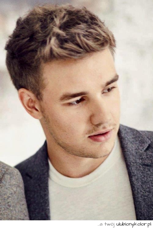onedirection, one direction, liam payne, liampayne, chłopak