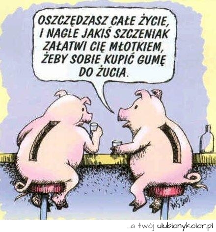 śmieszne, świnki, żart, skarbonka, świniak