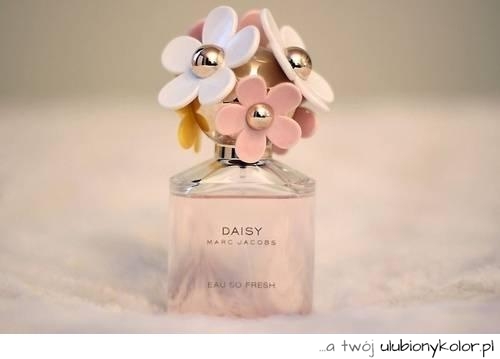 moda, kwiaty, perfumy, saisy
