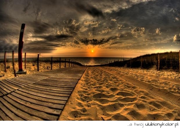 zdjęcie, plaża, słońce