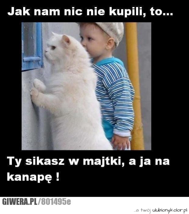 Zemsta :)