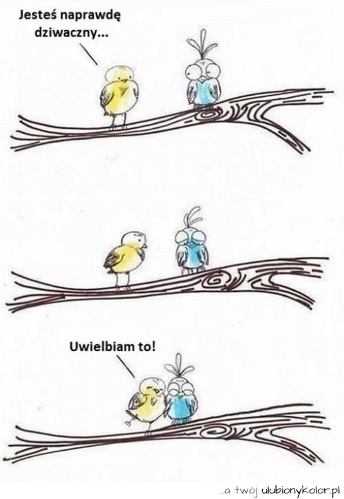 dziewczyna, ptak, śmieszne, fajne, humor