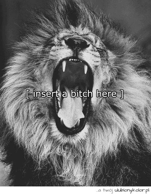 [ insert a b*tch here ]