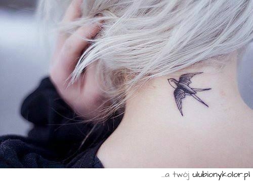 szyja, tatuaż, tattoo, kobieta, ptak, motyw, na plecach, motyw tatuaż,