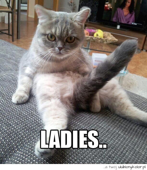 Drogie panie ...