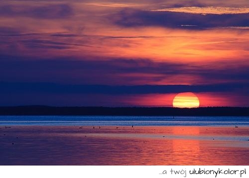 pejzaż, fotografia, zachód, słońce, przepiękne, horyzont, niebo