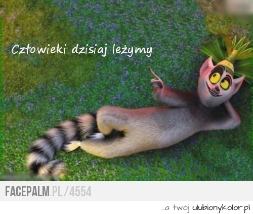 Czekając na weekend