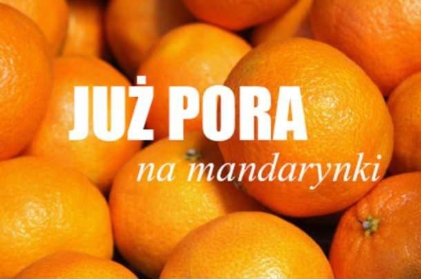 humor, fun, śmieszne