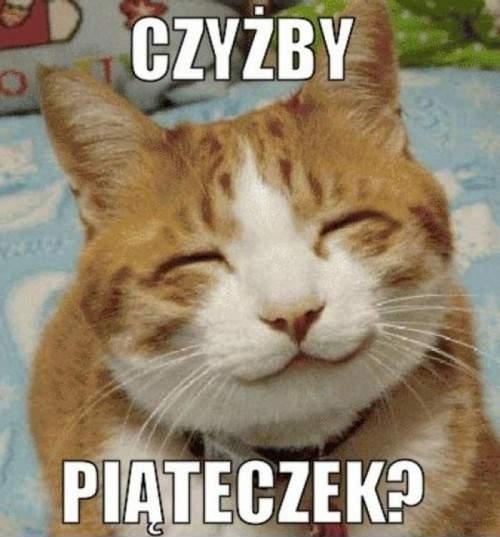 Piątek, piąteczek, piątunio