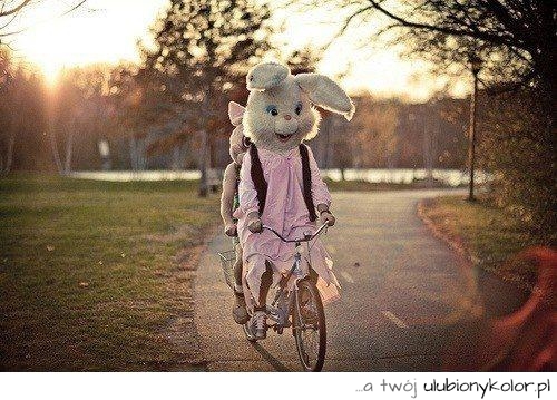 kadr, teledysk, coldplay, paradise, okładka, muzyka, zespół