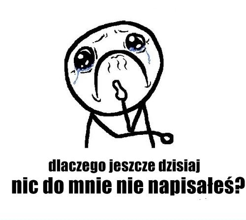 śmieszne, zdjęcie, humor, fun