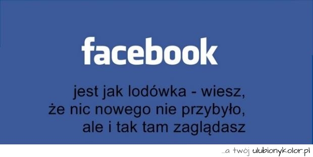 facebook, śmieszne, humor, fun