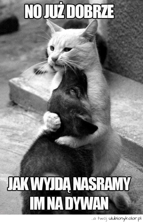 No już dobrze