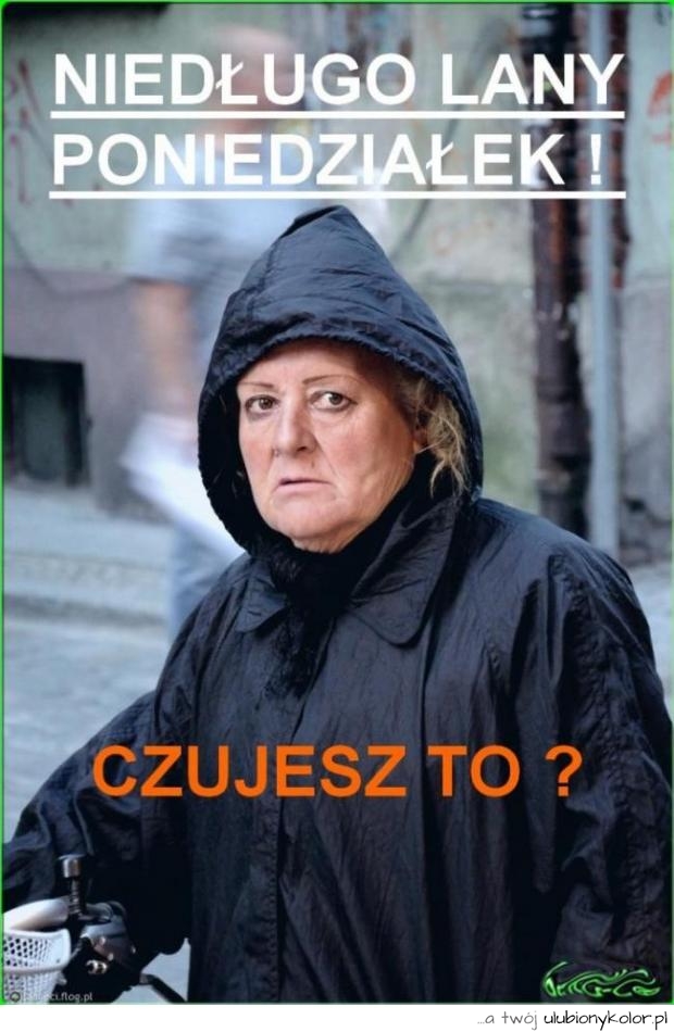 śmieszne, poniedziałek, śmieszne obrazki