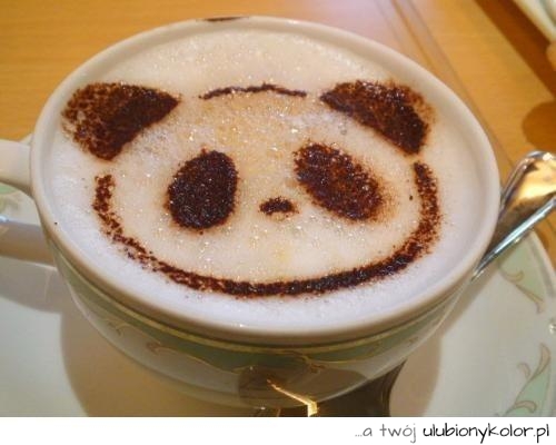 kawa, panda, fajna,śmieszna