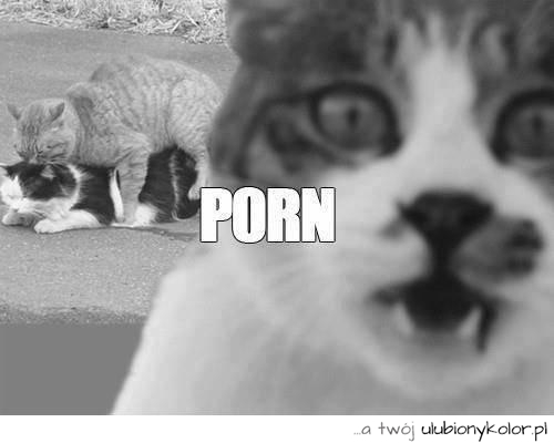 OMG ;) #śmieszne