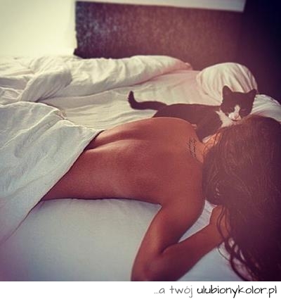 sexy, kobieta, seksowna, kot, łóżko, tatuaż, tatuaż szyja, pościel, poranek, sen