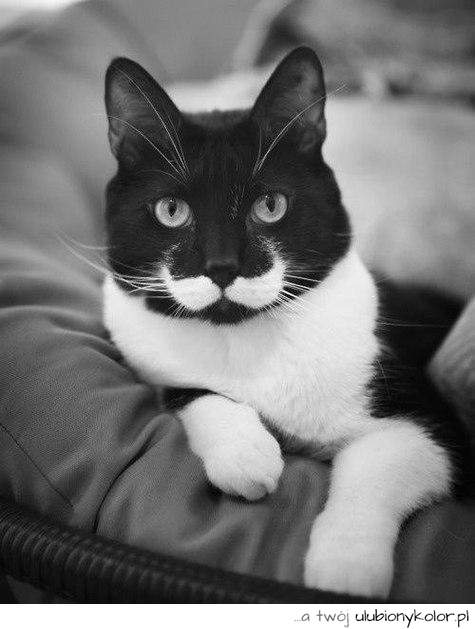 #Hipster ;)