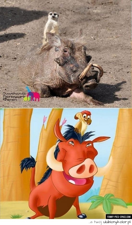 Hhahaha oni na prawdę istnieją, ! Król Lew