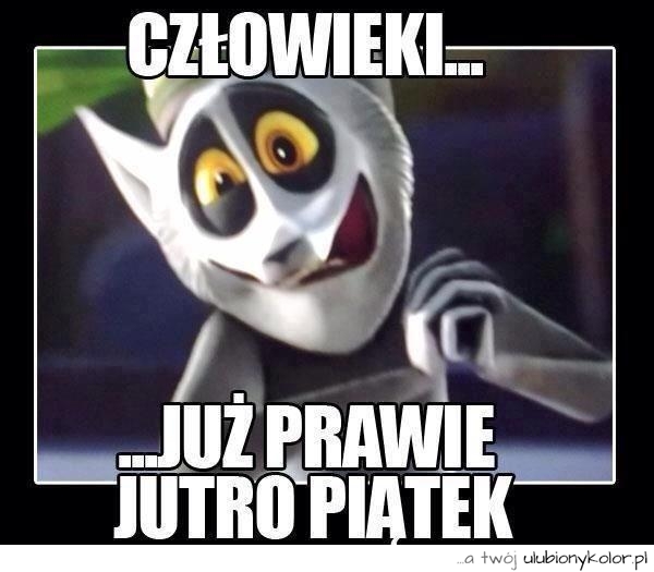człowieki, julian, piątek, śmieszne