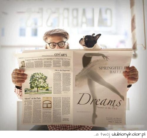 śmieszne, pies, gazeta, humor, baletnica