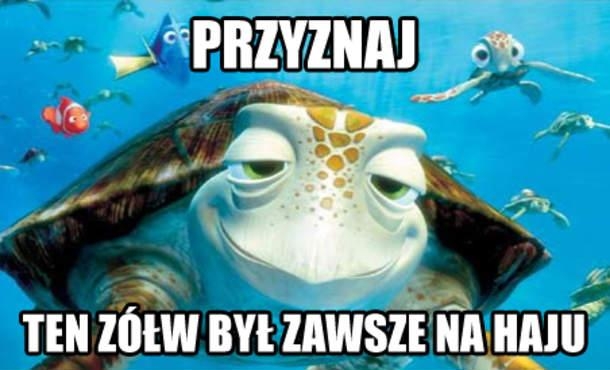 śmieszne, humor, fun