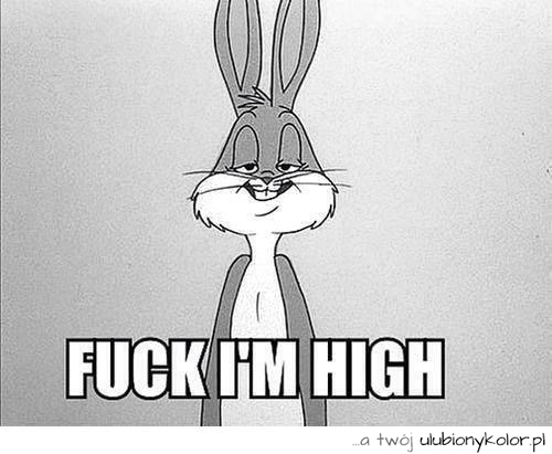 bunny, śmieszne, królik, bugs, humor