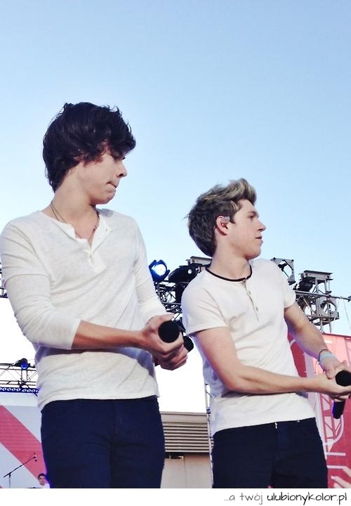 1d, niall, one direction, one direction harry