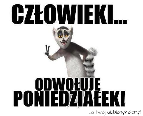 Człowieki... odwojuję poniedziałek