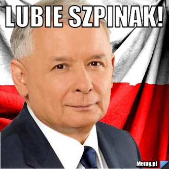 śmieszne, szpinak, lubię