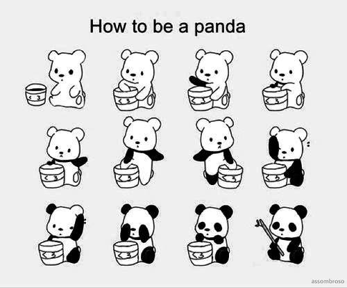 panda, inspiracje, obrazek