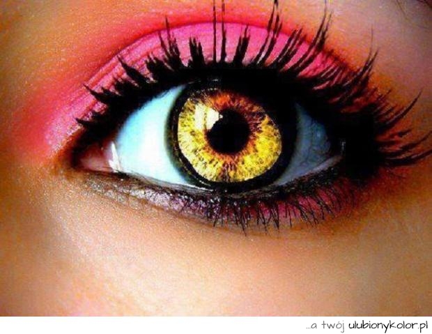 oko, piękne, kolory, makeup, make up, rzęsy, modne, cienie