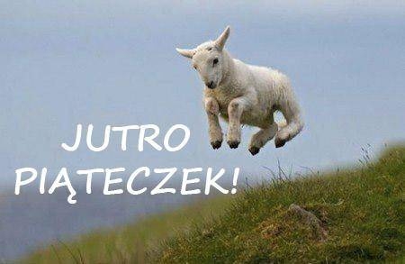 Jutro Piąteczek!, piątek, humor