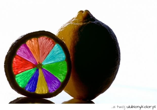 ozdoba, kuchnia, owoc, kiwi, kolorki, szok, love, colours
