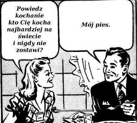kot, śmieszne, humor, fun, 