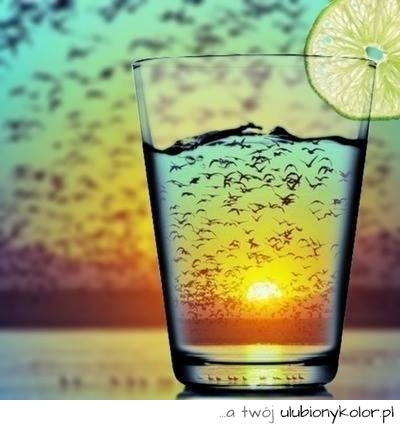 ptaki, herbata, lemonka, słońce, fajne