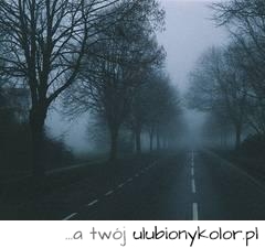 mrok, droga, drzewa, mroczne, fotografia, zdjęcie, ładne