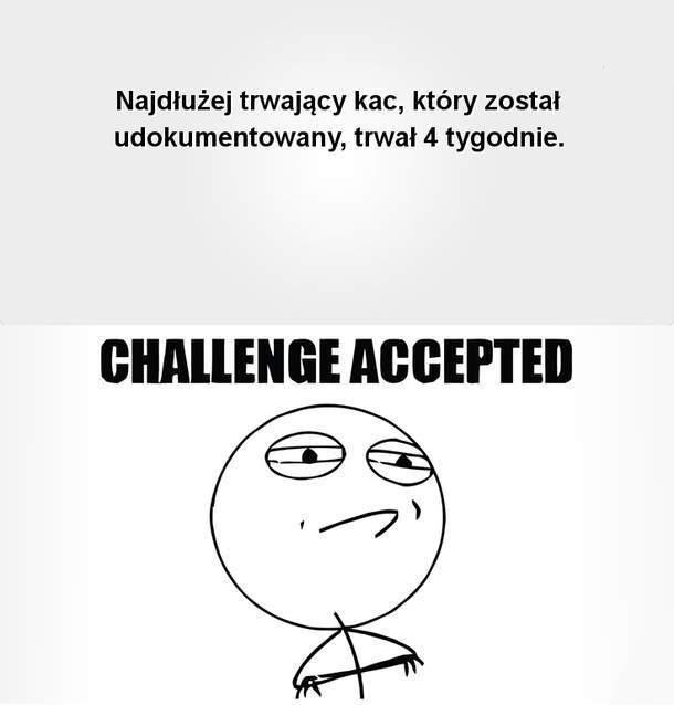 kac, śmieszne, humor, fun, obrazek
